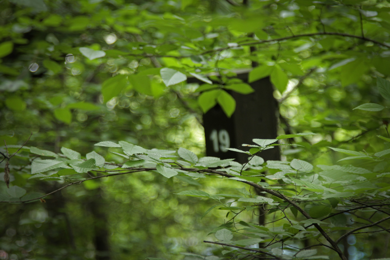 birdhouse