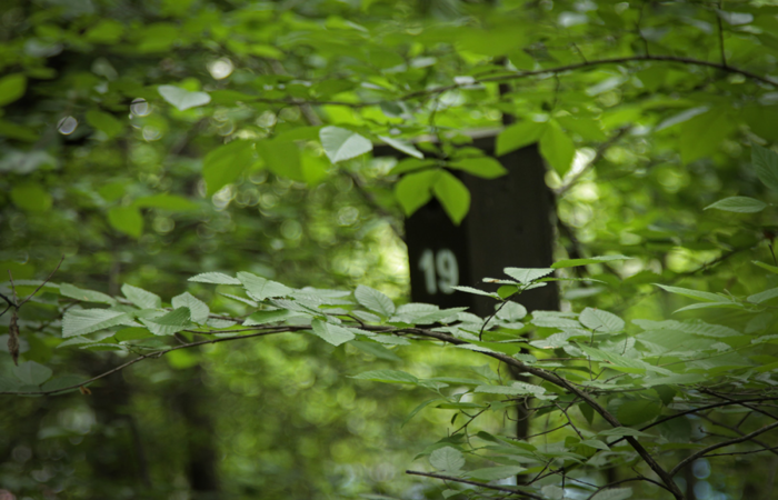 birdhouse
