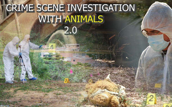 CRIME SCENE INVESTIGATION WITH ANIMALS 2.0