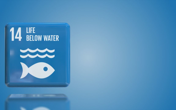 E-Conference on the Sustainable Development Goals – Goal 14: Life Below Water
