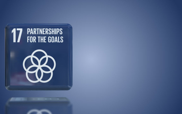 E-Conference on the Sustainable Development Goals – Goal SDG 17: Partnerships for the Goals