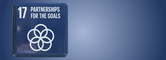 E-Conference on the Sustainable Development Goals – Goal SDG 17: Partnerships for the Goals