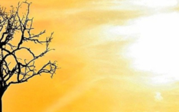 One Health and Climate Change