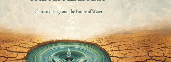 The Ripple Effect: Climate Change and the Future of Water 2028