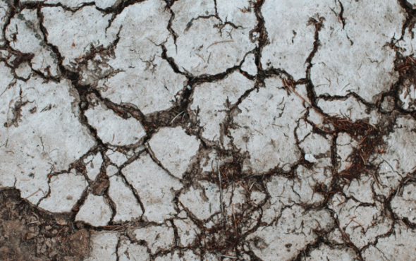 Interdisciplinary Lecture Series Climate Change & Health