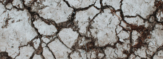 Interdisciplinary Lecture Series Climate Change & Health (4)