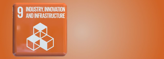 E-Conference on the Sustainable Development Goals – Goal 9: Industry, Innovation and Infrastructure