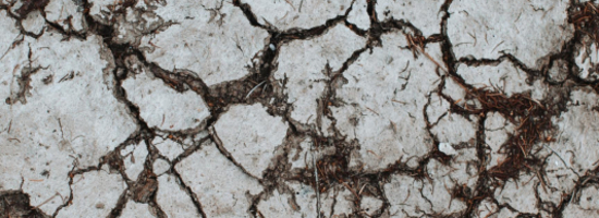 Interdisciplinary Lecture Series Climate Change & Health (3)