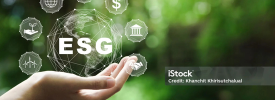 Sustainable finance and ESG investing 2028